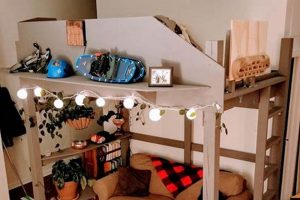 Studio Savvy: Bunk Bed for Small Apartment Living Study Travel Abroad | Explore Educational Trips & Global Learning Opportunities Studio Savvy: Bunk Bed for Small Apartment Living | Study Travel Abroad | Explore Educational Trips & Global Learning Opportunities