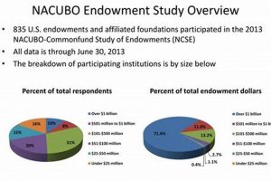 Guide to NACUBO Endowment Study Data + Insights Study Travel Abroad | Explore Educational Trips & Global Learning Opportunities Guide to NACUBO Endowment Study Data + Insights | Study Travel Abroad | Explore Educational Trips & Global Learning Opportunities