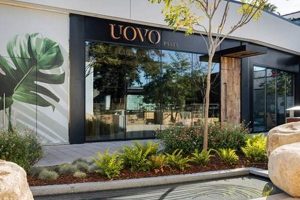 Uovo Studio City Menu: Fresh Pasta & More! Study Travel Abroad | Explore Educational Trips & Global Learning Opportunities Uovo Studio City Menu: Fresh Pasta & More! | Study Travel Abroad | Explore Educational Trips & Global Learning Opportunities