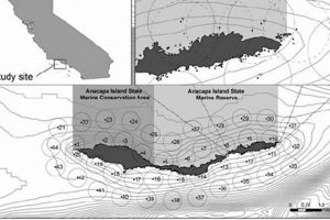 Anacapa Road Safety: 1993 NHTSA Study Findings & Impact Study Travel Abroad | Explore Educational Trips & Global Learning Opportunities Anacapa Road Safety: 1993 NHTSA Study Findings & Impact | Study Travel Abroad | Explore Educational Trips & Global Learning Opportunities