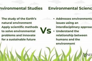 Science vs Studies: Environmental Degree Guide Study Travel Abroad | Explore Educational Trips & Global Learning Opportunities Science vs Studies: Environmental Degree Guide | Study Travel Abroad | Explore Educational Trips & Global Learning Opportunities