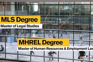 MSL Law Jobs: Career Paths & Opportunities Study Travel Abroad | Explore Educational Trips & Global Learning Opportunities MSL Law Jobs: Career Paths & Opportunities | Study Travel Abroad | Explore Educational Trips & Global Learning Opportunities