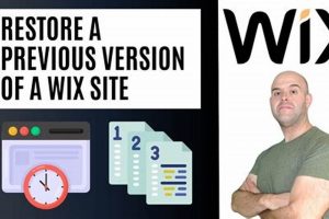 Wix Studio: How to Revert to Previous Version [Easy Guide] | Study Travel Abroad | Explore Educational Trips & Global Learning Opportunities