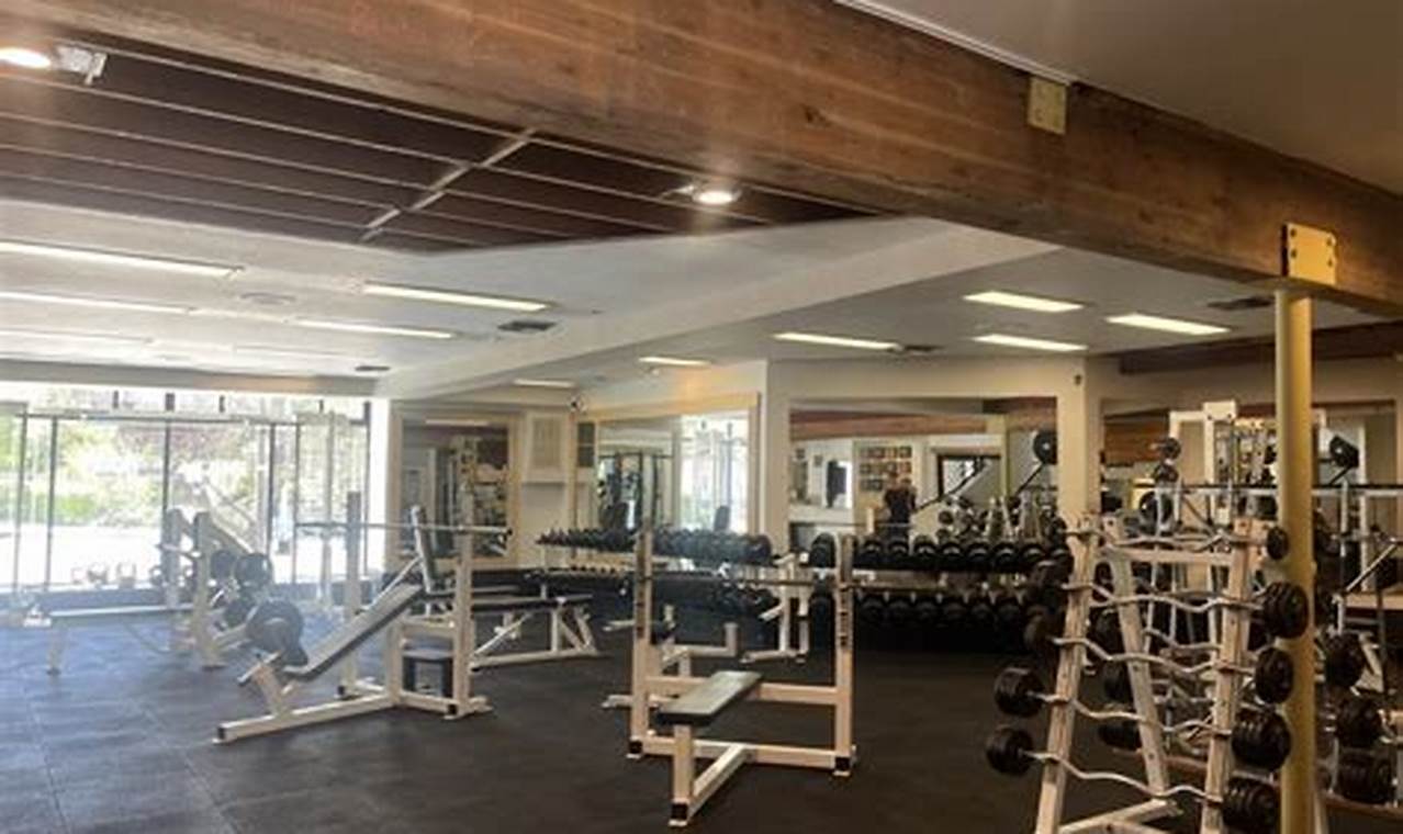 Best Gyms Studio City: Your Fitness Journey Starts Here! Study Travel Abroad | Explore Educational Trips & Global Learning Opportunities Best Gyms Studio City: Your Fitness Journey Starts Here! | Study Travel Abroad | Explore Educational Trips & Global Learning Opportunities