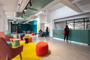 Apex Studios: The Best Studio Ever? [Review] | Study Travel Abroad | Explore Educational Trips & Global Learning Opportunities