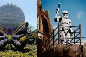Epcot to Hollywood Studios: Your Easy Travel Guide Tips! Study Travel Abroad | Explore Educational Trips & Global Learning Opportunities Epcot to Hollywood Studios: Your Easy Travel Guide Tips! | Study Travel Abroad | Explore Educational Trips & Global Learning Opportunities