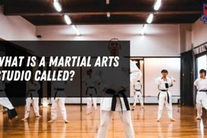 Find a Typical Martial Arts Studio Near Art You! Study Travel Abroad | Explore Educational Trips & Global Learning Opportunities Find a Typical Martial Arts Studio Near Art You! | Study Travel Abroad | Explore Educational Trips & Global Learning Opportunities