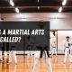 Find a Typical Martial Arts Studio Near Art You! | Study Travel Abroad | Explore Educational Trips & Global Learning Opportunities