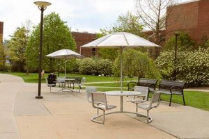 Best Outdoor Study Spots Near Me: Find Your Focus! Study Travel Abroad | Explore Educational Trips & Global Learning Opportunities Best Outdoor Study Spots Near Me: Find Your Focus! | Study Travel Abroad | Explore Educational Trips & Global Learning Opportunities