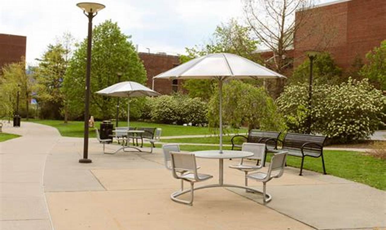Best Outdoor Study Spots Near Me: Find Your Focus! Study Travel Abroad | Explore Educational Trips & Global Learning Opportunities Best Outdoor Study Spots Near Me: Find Your Focus! | Study Travel Abroad | Explore Educational Trips & Global Learning Opportunities