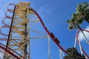 Discover The Scariest Ride in Universal Studios! [2024 Guide] | Study Travel Abroad | Explore Educational Trips & Global Learning Opportunities