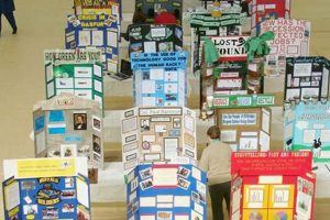 Explore Social Studies Fair Projects & Ideas Guide Study Travel Abroad | Explore Educational Trips & Global Learning Opportunities Explore Social Studies Fair Projects & Ideas Guide | Study Travel Abroad | Explore Educational Trips & Global Learning Opportunities