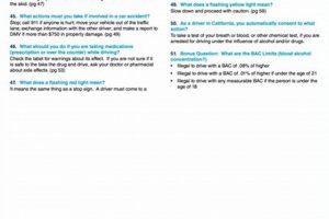 Ace Your Florida Learners Permit Study Guide Exam: Tips & Prep Study Travel Abroad | Explore Educational Trips & Global Learning Opportunities Ace Your Florida Learners Permit Study Guide Exam: Tips & Prep | Study Travel Abroad | Explore Educational Trips & Global Learning Opportunities