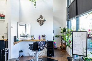 Book Your Turning Heads Hair Studio Appointment Today! Study Travel Abroad | Explore Educational Trips & Global Learning Opportunities Book Your Turning Heads Hair Studio Appointment Today! | Study Travel Abroad | Explore Educational Trips & Global Learning Opportunities