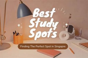 Best Study Spot Guide: Find Your Perfect Study Spot! Study Travel Abroad | Explore Educational Trips & Global Learning Opportunities Best Study Spot Guide: Find Your Perfect Study Spot! | Study Travel Abroad | Explore Educational Trips & Global Learning Opportunities