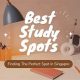 Best Study Spot Guide: Find Your Perfect Study Spot! | Study Travel Abroad | Explore Educational Trips & Global Learning Opportunities