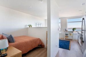 Find Your Maine Studio Apartment: Cheap & Cozy! Study Travel Abroad | Explore Educational Trips & Global Learning Opportunities Find Your Maine Studio Apartment: Cheap & Cozy! | Study Travel Abroad | Explore Educational Trips & Global Learning Opportunities