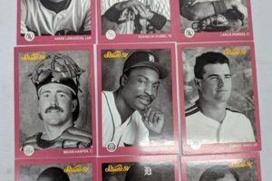 Collecting 1991 Studio Baseball Cards: A Nostalgic Dive Study Travel Abroad | Explore Educational Trips & Global Learning Opportunities Collecting 1991 Studio Baseball Cards: A Nostalgic Dive | Study Travel Abroad | Explore Educational Trips & Global Learning Opportunities