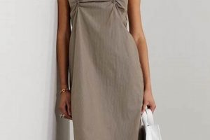 Effortless Style: Deiji Studios Dress Outfits & Looks Study Travel Abroad | Explore Educational Trips & Global Learning Opportunities Effortless Style: Deiji Studios Dress Outfits & Looks | Study Travel Abroad | Explore Educational Trips & Global Learning Opportunities