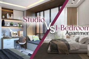 Studio Apartments vs 1 Bedroom: Which is Best For You? Study Travel Abroad | Explore Educational Trips & Global Learning Opportunities Studio Apartments vs 1 Bedroom: Which is Best For You? | Study Travel Abroad | Explore Educational Trips & Global Learning Opportunities