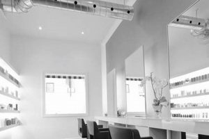 [Salon Name]: Studio 3 Hair Salon - Styles & Cuts! | Study Travel Abroad | Explore Educational Trips & Global Learning Opportunities