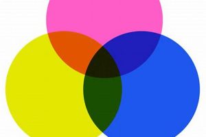 Unleash Riso Studio Arts: Vibrant, Affordable Prints! Study Travel Abroad | Explore Educational Trips & Global Learning Opportunities Unleash Riso Studio Arts: Vibrant, Affordable Prints! | Study Travel Abroad | Explore Educational Trips & Global Learning Opportunities