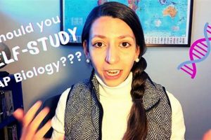 AP Art: Can You Self Study It? Prep + Success Study Travel Abroad | Explore Educational Trips & Global Learning Opportunities AP Art: Can You Self Study It? Prep + Success | Study Travel Abroad | Explore Educational Trips & Global Learning Opportunities