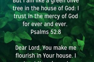 Unlock Psalm 52: Study Guide & Meaning Study Travel Abroad | Explore Educational Trips & Global Learning Opportunities Unlock Psalm 52: Study Guide & Meaning | Study Travel Abroad | Explore Educational Trips & Global Learning Opportunities
