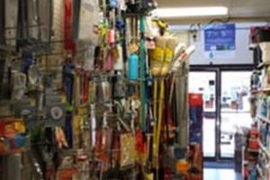 Your Guide to North Hollywood Hardware near Studio City Study Travel Abroad | Explore Educational Trips & Global Learning Opportunities Your Guide to North Hollywood Hardware near Studio City | Study Travel Abroad | Explore Educational Trips & Global Learning Opportunities