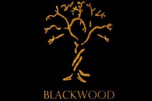 Discover Blackwood Studios: Projects & More Study Travel Abroad | Explore Educational Trips & Global Learning Opportunities Discover Blackwood Studios: Projects & More | Study Travel Abroad | Explore Educational Trips & Global Learning Opportunities