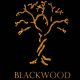 Discover Blackwood Studios: Projects & More | Study Travel Abroad | Explore Educational Trips & Global Learning Opportunities
