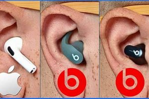 Beats Battle: Fit Pro vs Studio Buds - Which Wins? Study Travel Abroad | Explore Educational Trips & Global Learning Opportunities Beats Battle: Fit Pro vs Studio Buds - Which Wins? | Study Travel Abroad | Explore Educational Trips & Global Learning Opportunities