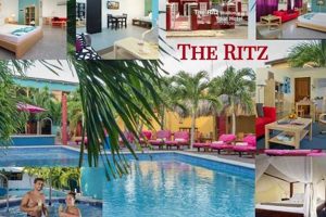 Curacao's Best: The Ritz Studios Curacao Getaway! Study Travel Abroad | Explore Educational Trips & Global Learning Opportunities Curacao's Best: The Ritz Studios Curacao Getaway! | Study Travel Abroad | Explore Educational Trips & Global Learning Opportunities