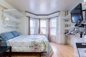 Find Bushwick Studio Apartments: Your Perfect NYC Pad Study Travel Abroad | Explore Educational Trips & Global Learning Opportunities Find Bushwick Studio Apartments: Your Perfect NYC Pad | Study Travel Abroad | Explore Educational Trips & Global Learning Opportunities