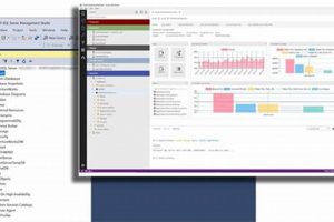 Azure Data Studio vs SSMS: Which SQL Tool is Best? Study Travel Abroad | Explore Educational Trips & Global Learning Opportunities Azure Data Studio vs SSMS: Which SQL Tool is Best? | Study Travel Abroad | Explore Educational Trips & Global Learning Opportunities