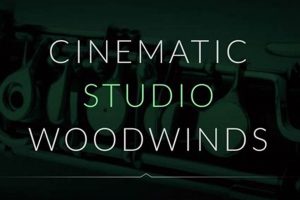 Unleash Cinematic Studio Woodwinds: Pro Scoring Sound Study Travel Abroad | Explore Educational Trips & Global Learning Opportunities Unleash Cinematic Studio Woodwinds: Pro Scoring Sound | Study Travel Abroad | Explore Educational Trips & Global Learning Opportunities