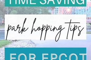 Epcot to Hollywood Studios: Best Transport Options & Tips Study Travel Abroad | Explore Educational Trips & Global Learning Opportunities Epcot to Hollywood Studios: Best Transport Options & Tips | Study Travel Abroad | Explore Educational Trips & Global Learning Opportunities