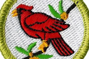 Complete Bird Study Merit Badge Guide: [Year] | Study Travel Abroad | Explore Educational Trips & Global Learning Opportunities