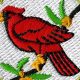Complete Bird Study Merit Badge Guide: [Year] | Study Travel Abroad | Explore Educational Trips & Global Learning Opportunities