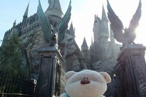 Guide to Universal Studios Singapore Harry Potter World Study Travel Abroad | Explore Educational Trips & Global Learning Opportunities Guide to Universal Studios Singapore Harry Potter World | Study Travel Abroad | Explore Educational Trips & Global Learning Opportunities