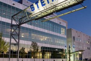 Find Steiner Studios Careers: Job Openings + Tips Study Travel Abroad | Explore Educational Trips & Global Learning Opportunities Find Steiner Studios Careers: Job Openings + Tips | Study Travel Abroad | Explore Educational Trips & Global Learning Opportunities