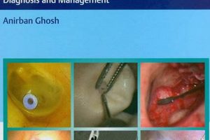 What Otology Is: The Study of Ears Study Travel Abroad | Explore Educational Trips & Global Learning Opportunities What Otology Is: The Study of Ears | Study Travel Abroad | Explore Educational Trips & Global Learning Opportunities