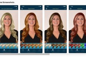 Best Color Studio Hair Color: Find Your Shade Today! Study Travel Abroad | Explore Educational Trips & Global Learning Opportunities Best Color Studio Hair Color: Find Your Shade Today! | Study Travel Abroad | Explore Educational Trips & Global Learning Opportunities