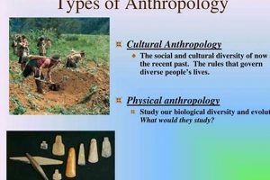 Unlock Cross-Cultural Study in Anthropology: Insights & More Study Travel Abroad | Explore Educational Trips & Global Learning Opportunities Unlock Cross-Cultural Study in Anthropology: Insights & More | Study Travel Abroad | Explore Educational Trips & Global Learning Opportunities