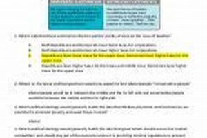 Ace American Gov: Unit 6 Elections Study Guide + Tips! Study Travel Abroad | Explore Educational Trips & Global Learning Opportunities Ace American Gov: Unit 6 Elections Study Guide + Tips! | Study Travel Abroad | Explore Educational Trips & Global Learning Opportunities