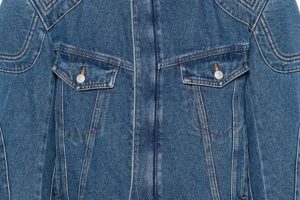 Best Acne Studios Denim Jacket: Styles & Guide Study Travel Abroad | Explore Educational Trips & Global Learning Opportunities Best Acne Studios Denim Jacket: Styles & Guide | Study Travel Abroad | Explore Educational Trips & Global Learning Opportunities