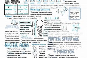 Your AP Bio Unit 1 Study Guide | Ace the Test! Study Travel Abroad | Explore Educational Trips & Global Learning Opportunities Your AP Bio Unit 1 Study Guide | Ace the Test! | Study Travel Abroad | Explore Educational Trips & Global Learning Opportunities