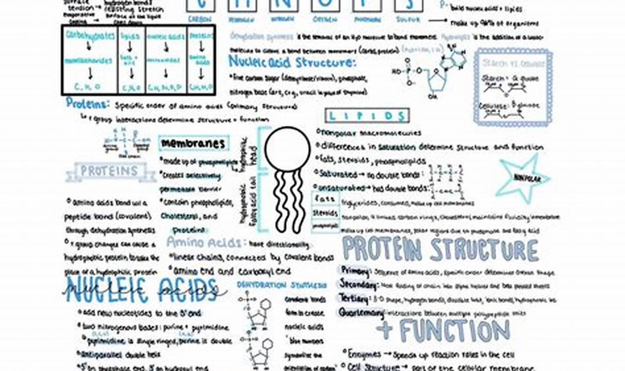 Your AP Bio Unit 1 Study Guide | Ace the Test! Study Travel Abroad | Explore Educational Trips & Global Learning Opportunities Your AP Bio Unit 1 Study Guide | Ace the Test! | Study Travel Abroad | Explore Educational Trips & Global Learning Opportunities