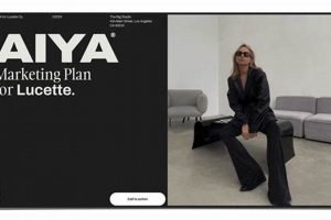 Achieve Pro: Studio Standard Aiya for Quality Study Travel Abroad | Explore Educational Trips & Global Learning Opportunities Achieve Pro: Studio Standard Aiya for Quality | Study Travel Abroad | Explore Educational Trips & Global Learning Opportunities