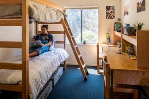 Your Guide to UCSC Study Rooms: Locations & Tips Study Travel Abroad | Explore Educational Trips & Global Learning Opportunities Your Guide to UCSC Study Rooms: Locations & Tips | Study Travel Abroad | Explore Educational Trips & Global Learning Opportunities